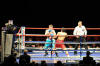 Ricky Hatton and Juan Lazcano during their bout at The City of Manchester Stadium